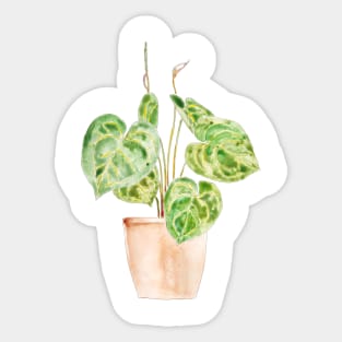 green indoor plant watercolor 1 Sticker